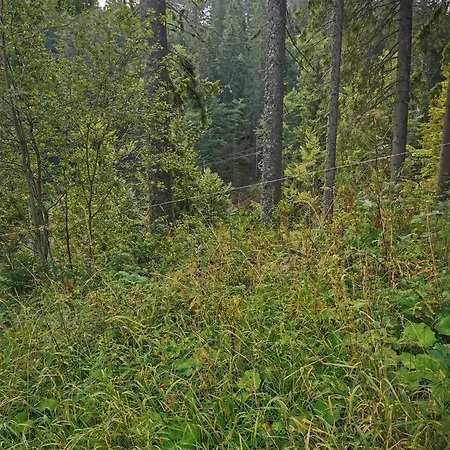 Iceberg No19 アパート *