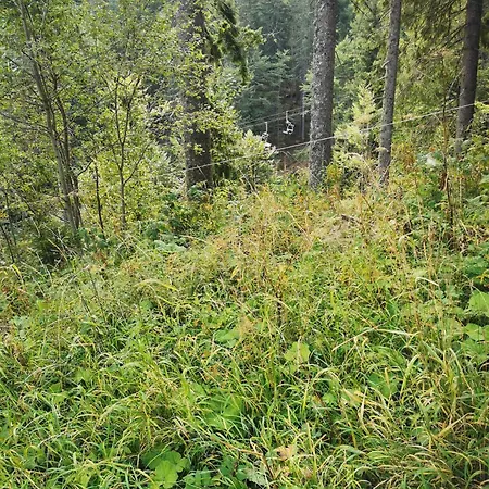 アパート Iceberg No19 *